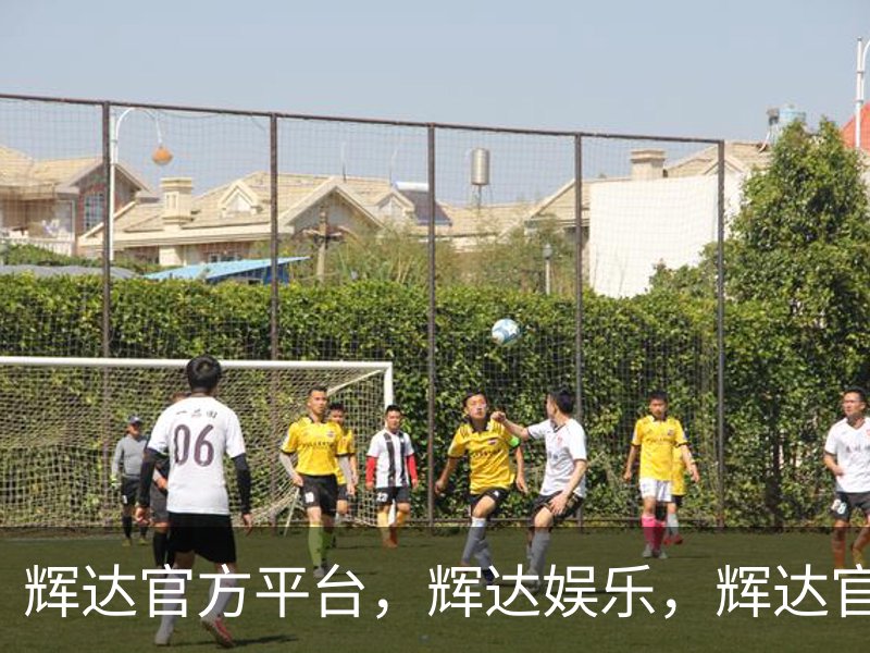 辉达官方平台，辉达娱乐，辉达官网，HuiDa，辉达游戏品牌故事